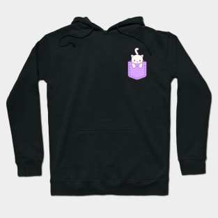 Cute Cat in pocket Hoodie